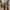 Linaro RL™ | Shorts de lino verano