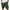 Corval RL™ | Short de pana con cordón ajustable