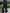 1075a68022554638890f75a73b258f55-Max-Origin