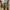 Linaro RL™ | Shorts de lino verano