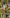 Gael Camisa Patchwork - lifestyle garden