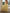 42d13176-c943-4396-bd8f-8445bdc404f2-Max