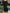 624a75eb148a403b8dc0694b5abb70e8-Max-Origin