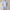 Taverno™ | Conjunto camisa y short