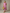 Lunessa RL™ | Vestido camisero de verano