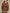 9d02b196-57bf-421a-af11-74b95f51beb1-Max-Origin
