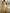 b0b70cba-031f-4d91-8b78-16381b54c6c5-Max